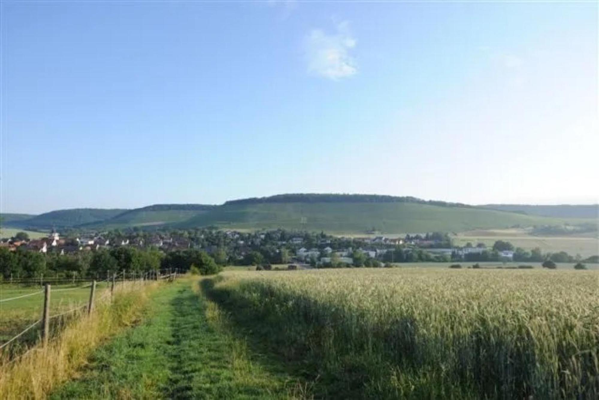 Landpension Wachtkopf Vaihingen an der Enz Exteriér fotografie