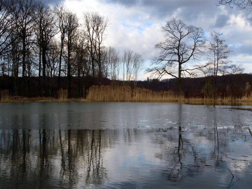Landpension Wachtkopf Vaihingen an der Enz Exteriér fotografie