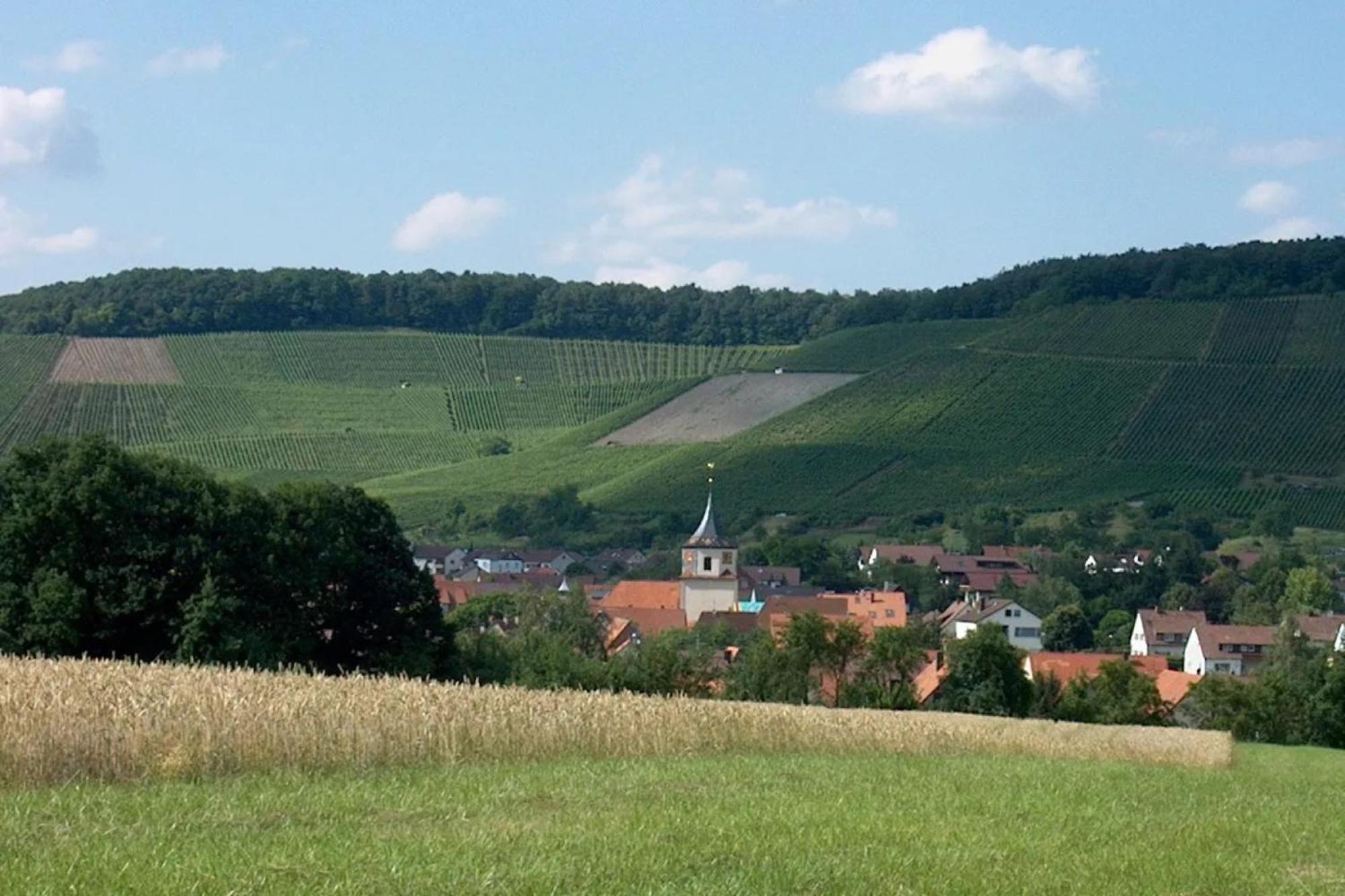 Landpension Wachtkopf Vaihingen an der Enz Exteriér fotografie