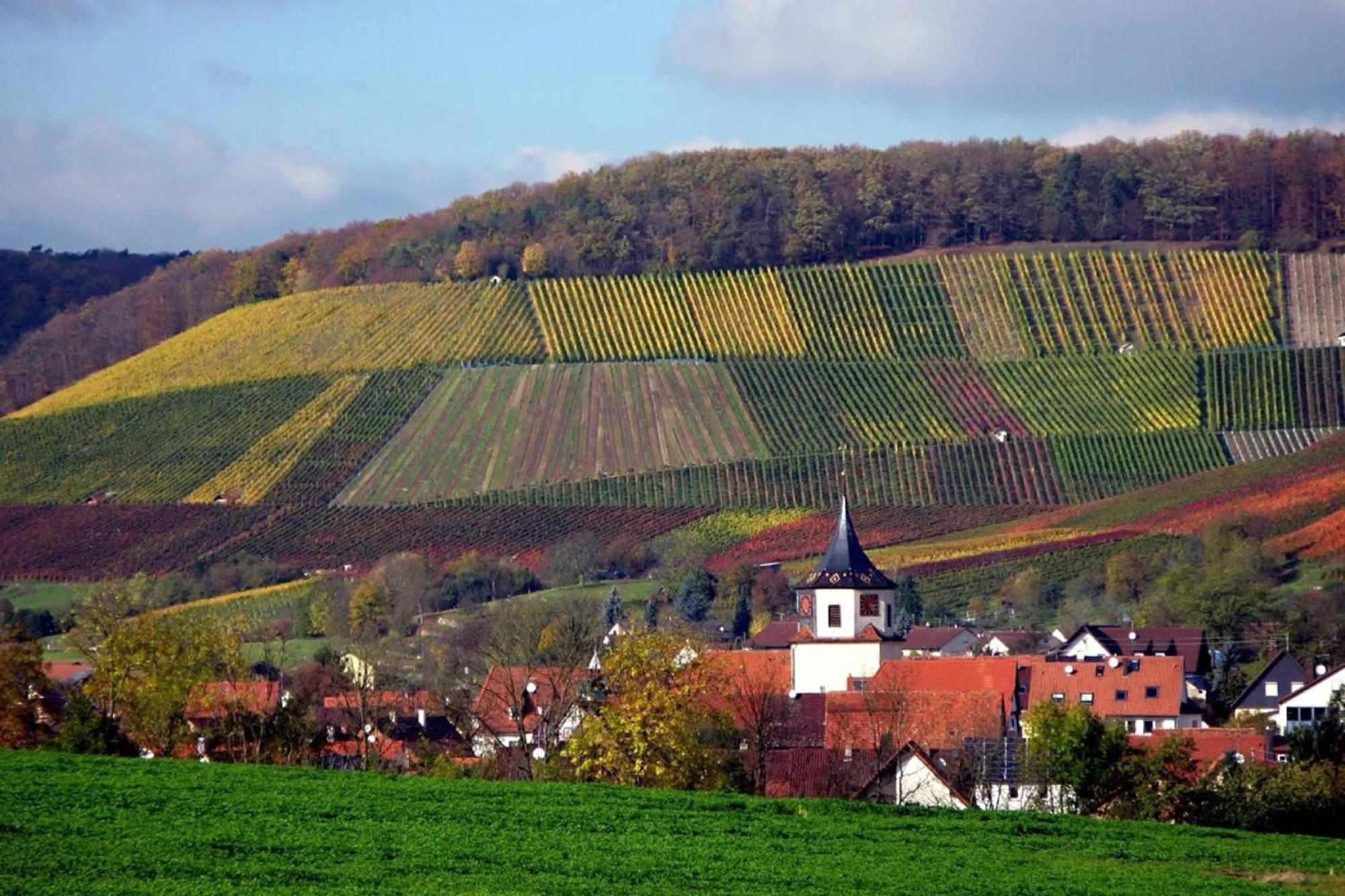 Landpension Wachtkopf Vaihingen an der Enz Exteriér fotografie